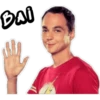 The Big Bang Theory 14