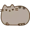 Pusheen Expressions 12