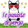 Frases de Gato Charles 10