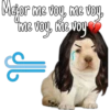 Mejor me voy, me voy,
the
me voy, me voy
g