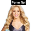 Shakira 15