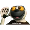Zoboomafoo 5