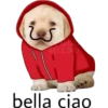 lomitos bonitos parte 2 5