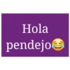 Hola pendejo