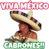 VIVA MÉXICO CABRONES!