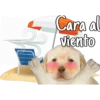 Cara al
viento