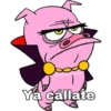 Plewondernicole
Ya cállate