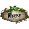 Mario
@Rosmery_arq