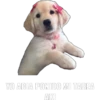 YO ABIA PONIDO MI TAREA AKI
