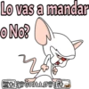 Lo vas a mandar
ONo?