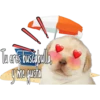 시
Tu eres buscabulla
Joine