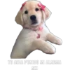 YO ABIA PONIDO MI ALARMA AKI