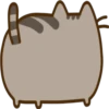 Pusheen Expressions 15
