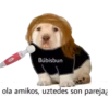 lomitos bonitos parte 2 7