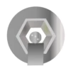 Trophies (Premium) 17