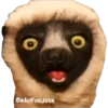 Zoboomafoo 6