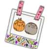 Notas Cute 15