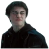 Harry Potter 1 12