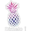 PIÑAS uWu 10