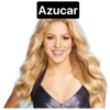 Shakira 20
