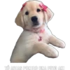 TÚ ABIAS PONIDO UNA FOTO AKI