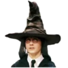 Harry Potter 1 13
