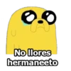 JAKE EL PERRO 13