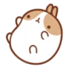 Molang 3 5