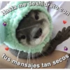 negris 7
