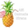 PIÑAS uWu 12