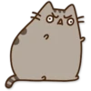 Pusheen Expressions 18