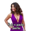 Ya te vi pinche puerka