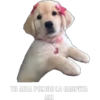 YO ABIA PONIDO LA CARPETA AKI
