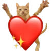 котята 11