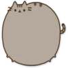 Pusheen Expressions 19