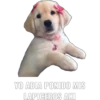 YO ABIA PONIDO MIS LAPICEROS AKI