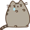 Pusheen Expressions 20