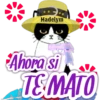 Frases de Gato Charles 20