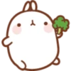 Molang 3 6
