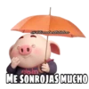 @Elizabethtaha
Fom
ME SONROJAS MUCHO