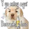 yo estoy aquí
Borracho y loco