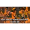 negris 12