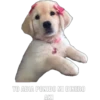 YO ABIA PONIDO MI DINERO AKI