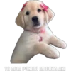 YO ABIA PONIDO MI DIETA AKI