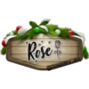 Rose
@Rosmery arg