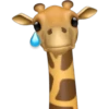 Memoji de girafa 13