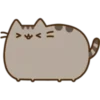 Pusheen Expressions 23