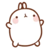 Molang 3 9