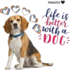 MariaSol
life is
better
with a
= DÖG=
