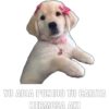 YO ABIA PONIDO TU CARITA. HERMOSA AKI